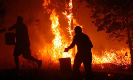 Incendios forestais 2006: a Fiscalía deixa en evidencia á Xunta