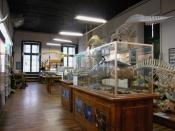 Museo da Natureza en Ferrol