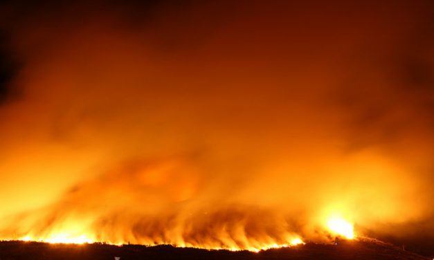 A Federación Ecoloxista Galega ven de presentar achegas á Lei de loita integral contra os incendios forestais de Galicia