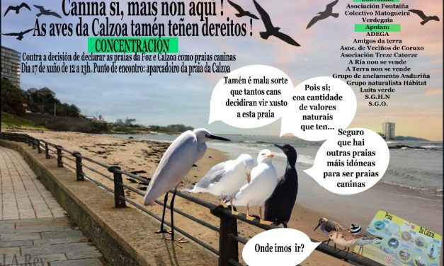 A Asociación Fontaíña, o Colectivo Matogueira e Verdegaia convocan unha concentración contra a declaración das praias da Calzoa e da Foz como praias caninas polos seus valores naturais