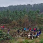 14 de abril: desacaciación e plantación de frondosas en Froxán (Lousame)