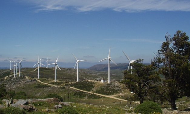 A Federación Ecoloxista Galega, da que forma parte Verdegaia, alega contra o proxecto do parque eólico do Castrove