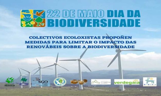 Día Mundial da Diversidade Biolóxica, 22 de Maio: propoñemos medidas para limitar o impacto das renovábeis sobre a biodiversidade