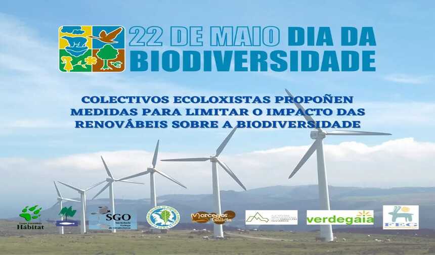 Día Mundial da Diversidade Biolóxica, 22 de Maio: propoñemos medidas para limitar o impacto das renovábeis sobre a biodiversidade