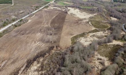 Destrución e degradación das Veigas do río Lobás en Calvos de Randín