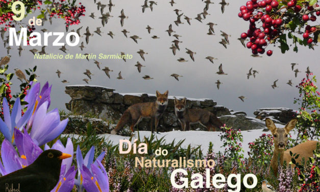 Comunicado conxunto das asociacións eco-naturalistas co gallo do Día do Naturalismo Galego o 9 de Marzo