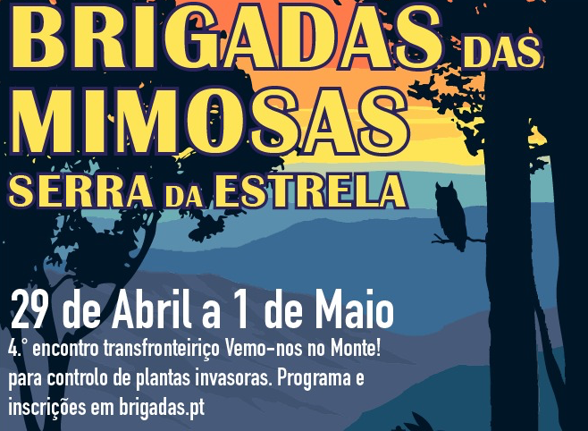 Segunda Brigada expedicionária à Serra da Estrela (Portugal): 28 de Abril-1 de Maio