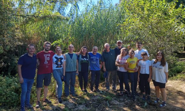 Actividade de restauración ambiental no río Couso, O Porriño. Segunda intervención, sábado 14 de outubro