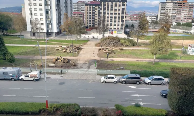 Enésimo corte de árbores en Coia, Vigo
